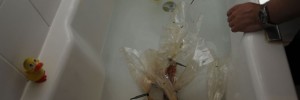 12848_Sous Vide with Jonathan Brown 01